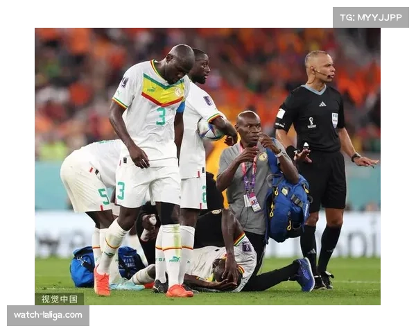 塞内加尔老将马内宝刀未老 经验助力球队晋级